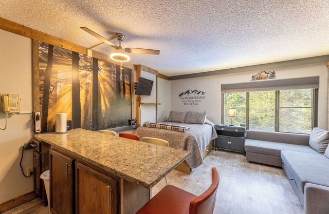 Renovated Slope Ski Slps 