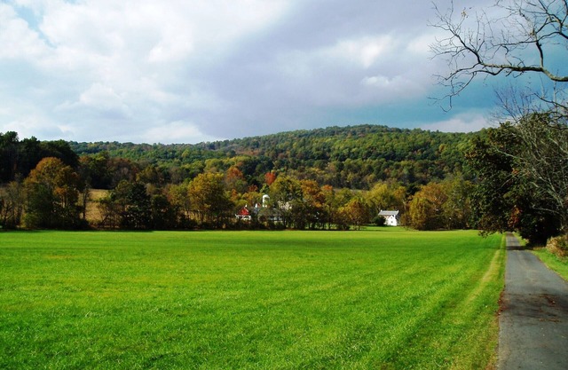 18th C. HOME ON COOKS CREEK/CONSERVED 100 ACRE FARM (NYC 1.5 hrs; Phila. 1 hr)