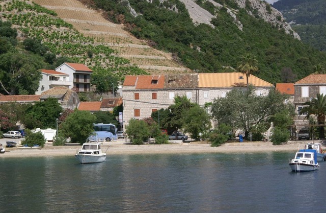 Trstenik 