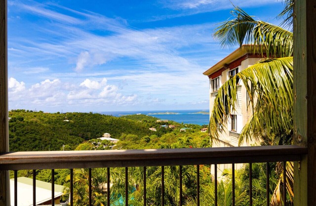 2 Bdrm w/Car, Pool, & AC in Cruz Bay, STJ