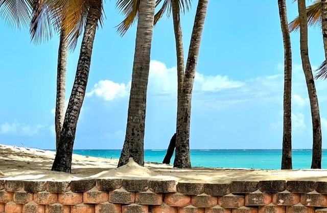 2 Bed 2 bath Gem by beach in Isla Verde with Pool/AC/wifi
