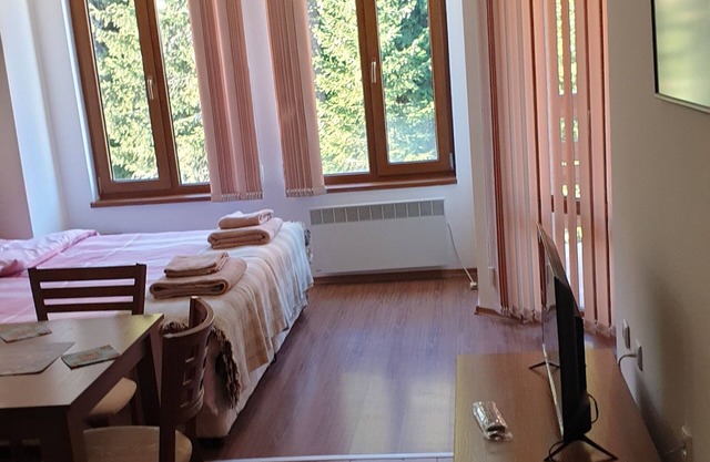 2 bed flat in Pamporovo