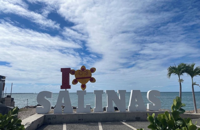 2-bedroom Tropical house with AC, WiFi in Las Ochenta