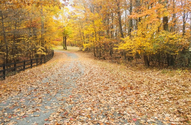 2 Fireplaces + Amazing Views
