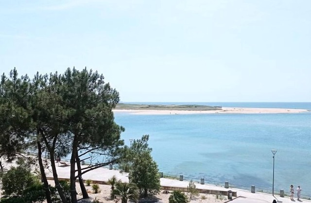 2 room apartment for 4 people - Superb sea view from the terrace 50 m from the beach