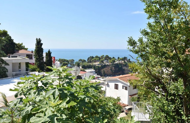 Apartman Aleksandar 