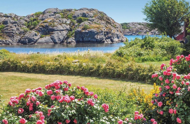 3 bedroom accommodation in Klövedal