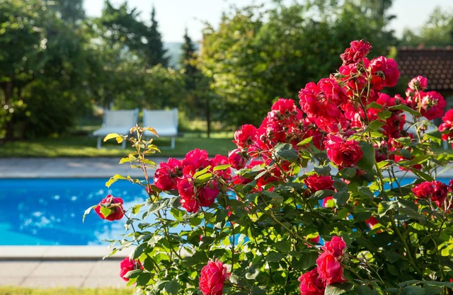 3-room country house apartment "Überlingen" 80m²