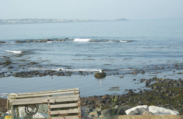 40' from the ocean! Fri check in. Magnificent views of the coast and lighthouse!
