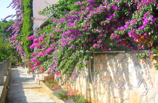 45 m² Apartment ∙ 2 bedrooms ∙ 6 guests