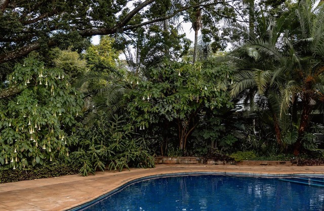 5 * Sandalwood Lodge is situated in the peaceful up-market suburb of Mount Pleasant - 2018