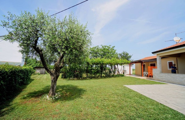 Apartments Mima 