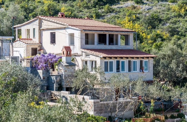 Terrace Sea Donja Kruščica Krušica Šolta 