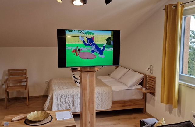70 meters to the ski-run! Two families sized apartment on two floors!