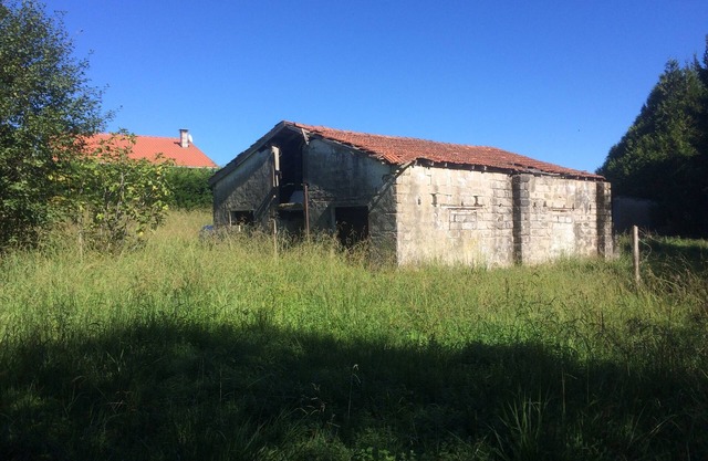 90m2 holiday home in the middle of kiwi fields and corn