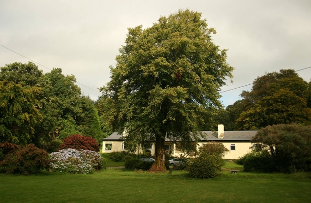 A beautifully situated Country House overlooking and with access to Lough Corrib