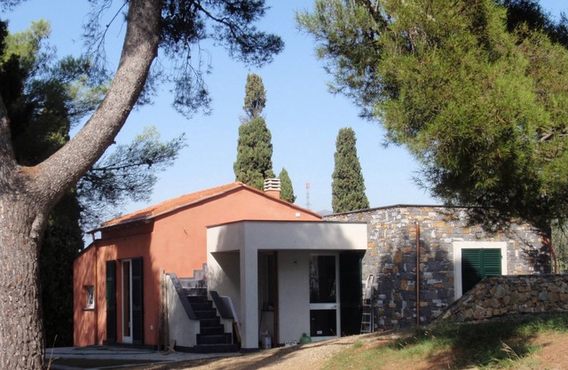 A confortable nest, guarded by a big lebanon cedar tree,