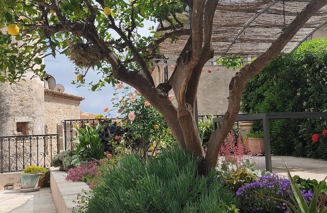 A dream week in the heart of Saint-Jeannet