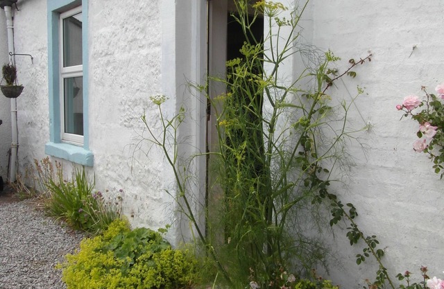 A fabulous seaside cottage in an idyllic position with stunning views all around and a 5 minute walk