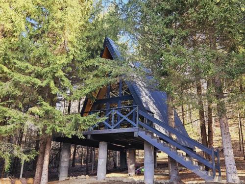 A frame Cuib de Vultur