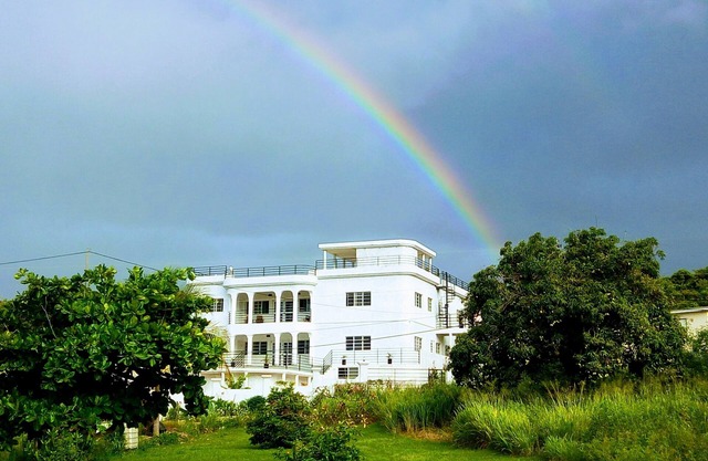 A labour of love in the south of the island