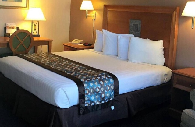 A Lovely Suite W/ Outdoor Swimming Pool