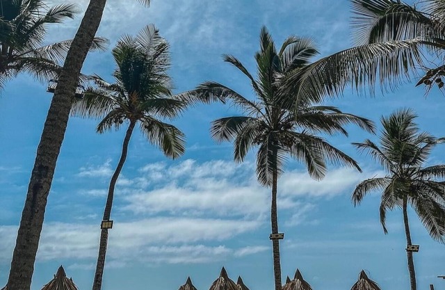 A luxurious and comfortable Oasis by the Caribbean Sea!