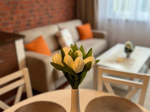A&M Apartments - apartment Prostejovska