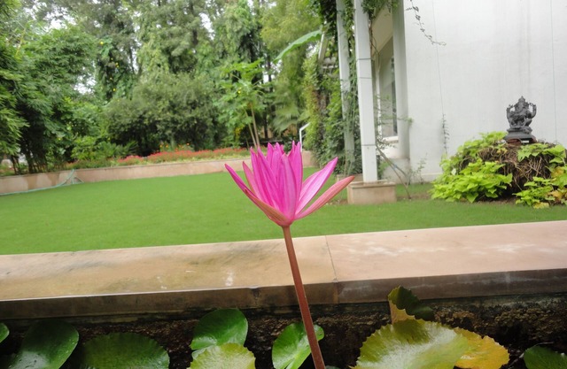 A Private Room In New Delhi's Luxurious Villa Home.
