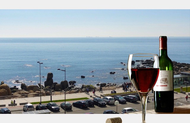 Affordable Luxury Beach Apartment with superb sea view 10 minutes from Porto