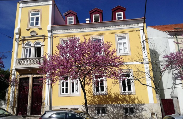 Ah33 - Double or Twin Studio 31 - University and Historic Center