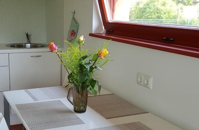 Aisa Sunny Apartment