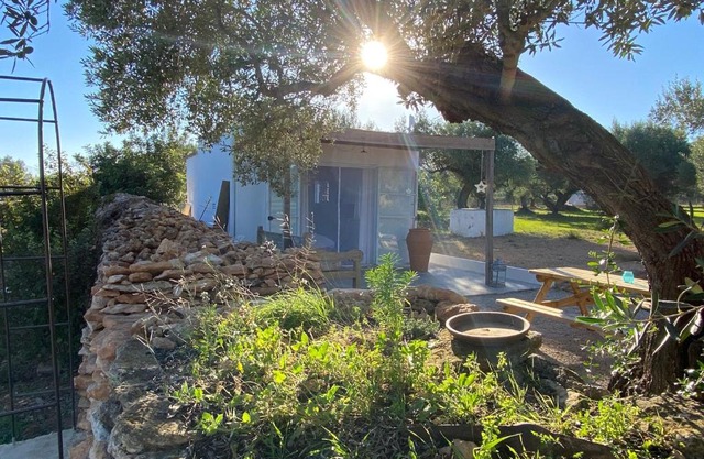 Alba Studio