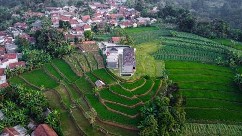 Algira Mountain View