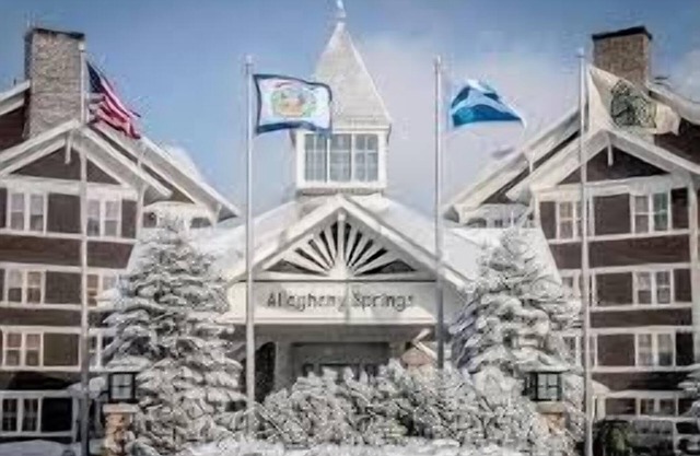 Allegheny Springs 305: 1 Bedroom, 1 Full Bath, Slope Side, Gas Fireplace