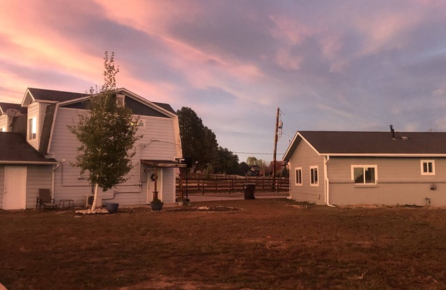 Alpaca, emu and chicken farm