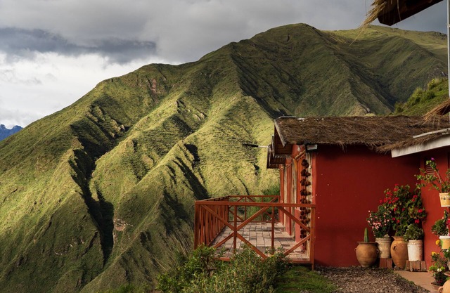 Alpaca Lodge