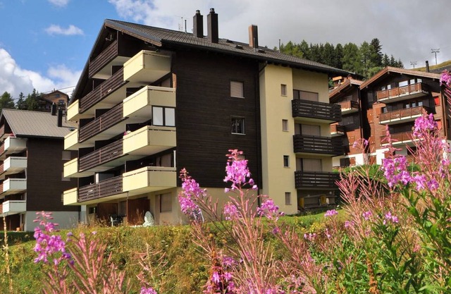 Alpenglück 43