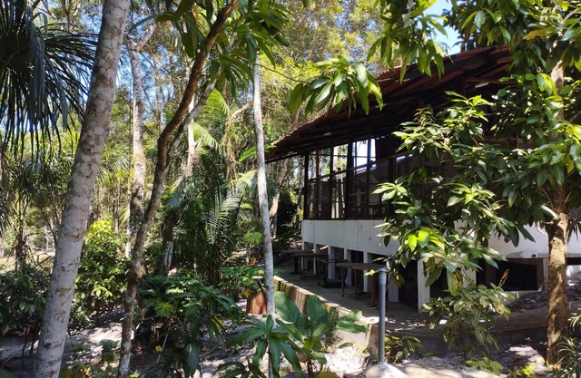 Amazon Lodge Varillal