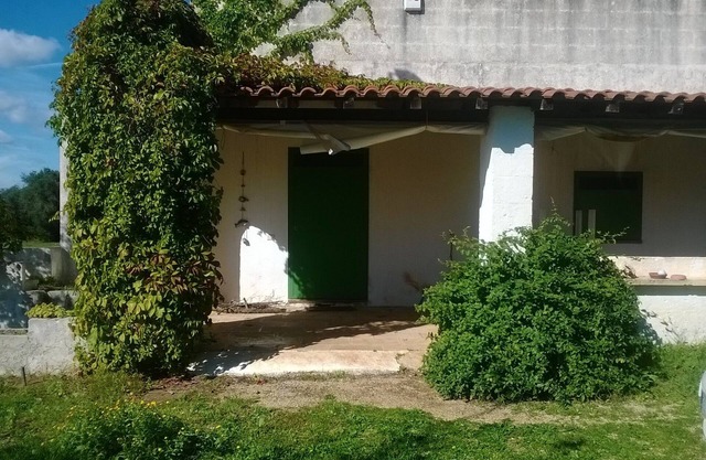 Ancient country house among the olive trees of Salento 20 'from the sea