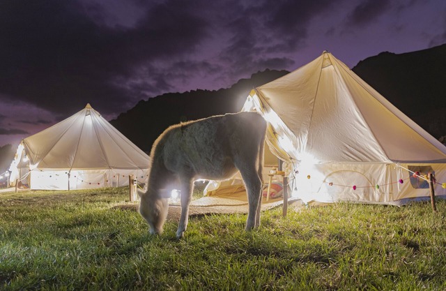 Andean Glamping