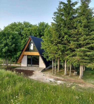 Anovi house