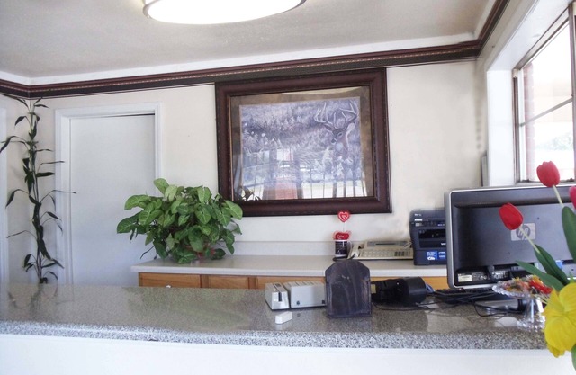 Antlers Budget Inn