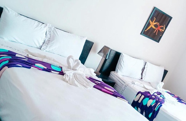 APARTA-STUDIO ABBY Tourism Playa Blanca