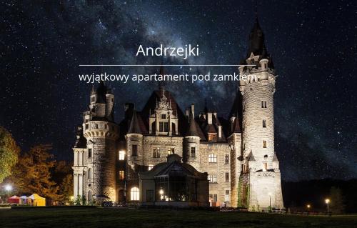 Apartament Premium Moszna - blisko Zamku, Jacuzzi, widok na las