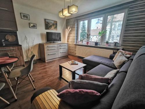 Apartament Ustron 