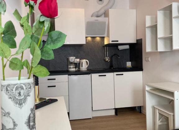 Apartament Wypoczynek Nowoczesna Malta Parking GoldAir
