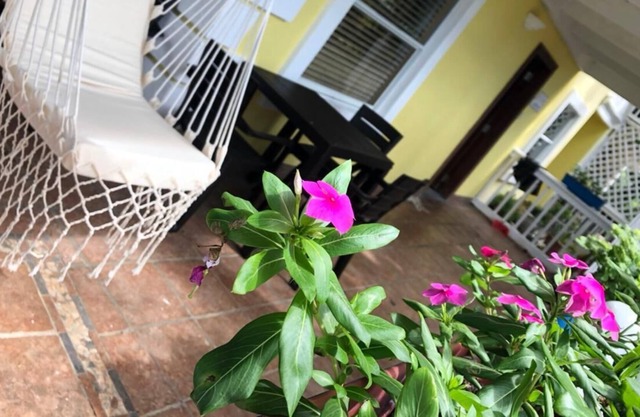 Apartamento Familiar - Isla Contadora