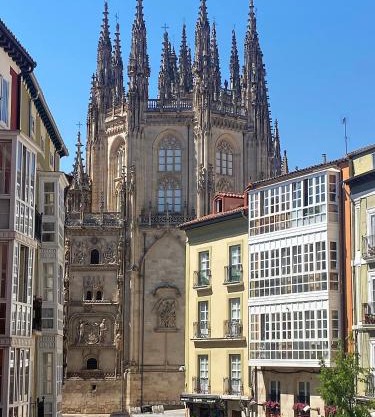 APARTAMENTOS LA FLORA BURGOS todos con aire acondicionado y ascensor
