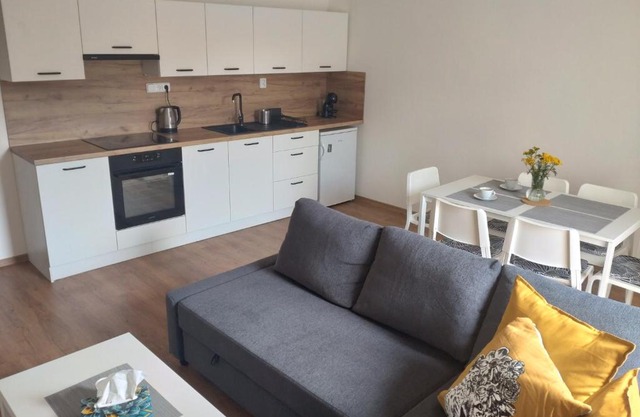 Apartmán Karlovice - Jeseníky